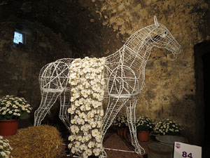 Temps de Flors 2015. Les Sarra&iuml;nes