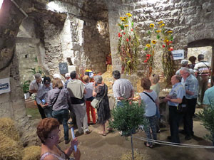 Temps de Flors 2015. Les Sarra&iuml;nes