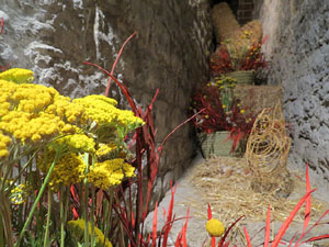 Temps de Flors 2015. Les Sarra&iuml;nes