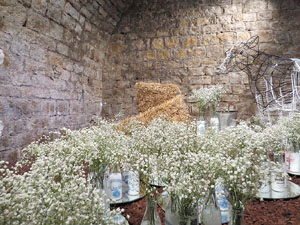 Temps de Flors 2015. Les Sarra&iuml;nes