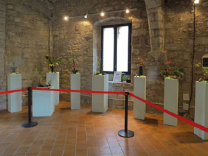 Temps de Flors 2015. Les Sarra&iuml;nes