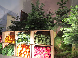 Temps de Flors 2015. Església de Sant Martí - Seminari