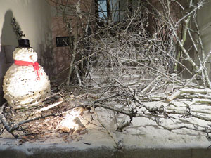 Temps de Flors 2015. Església de Sant Martí - Seminari