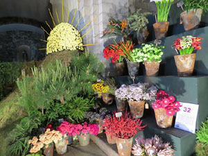 Temps de Flors 2015. Església de Sant Martí - Seminari