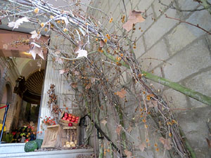 Temps de Flors 2015. Església de Sant Martí - Seminari