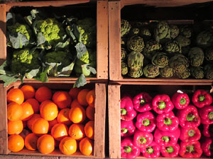 Temps de Flors 2015. Església de Sant Martí - Seminari