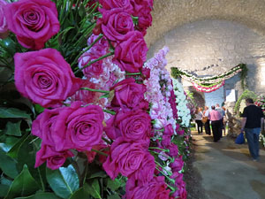 Temps de Flors 2015. Els Soterranis de la Catedral