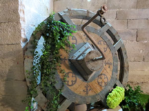 Temps de Flors 2015. Els Soterranis de la Catedral