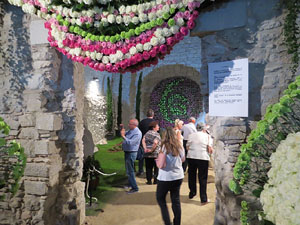 Temps de Flors 2015. Els Soterranis de la Catedral