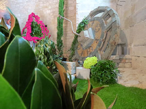 Temps de Flors 2015. Els Soterranis de la Catedral