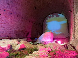 Temps de Flors 2015. Els Soterranis de la Catedral