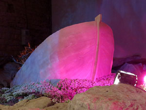 Temps de Flors 2015. Els Soterranis de la Catedral