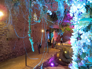 Temps de Flors 2015. Els Soterranis de la Catedral