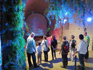 Temps de Flors 2015. Els Soterranis de la Catedral