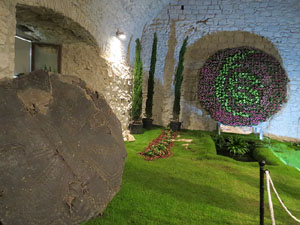 Temps de Flors 2015. Els Soterranis de la Catedral