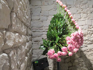 Temps de Flors 2015. Els Soterranis de la Catedral