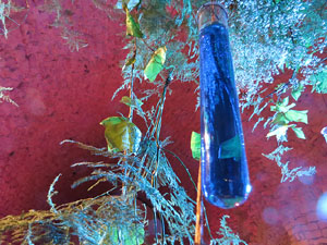 Temps de Flors 2015. Els Soterranis de la Catedral