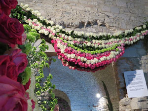 Temps de Flors 2015. Els Soterranis de la Catedral