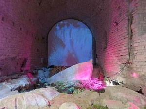 Temps de Flors 2015. Els Soterranis de la Catedral