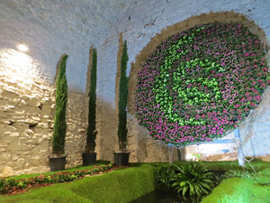 Temps de Flors 2015. Els Soterranis de la Catedral