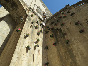 Temps de Flors 2015. Els Soterranis de la Catedral
