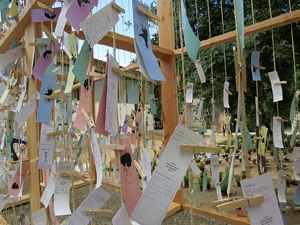 Temps de Flors 2015. Universitat de Girona - Sant Domènec