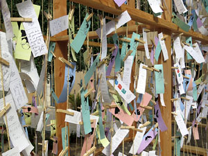 Temps de Flors 2015. Universitat de Girona - Sant Domènec