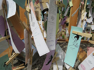 Temps de Flors 2015. Universitat de Girona - Sant Domènec