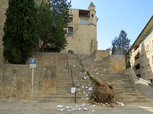 Temps de Flors 2015. Universitat de Girona - Sant Domènec