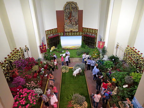 Temps de Flors 2015. Castrum dels Manaies