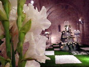 Temps de Flors 2015. Sant Nicolau