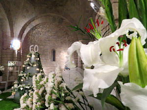 Temps de Flors 2015. Sant Nicolau