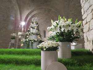 Temps de Flors 2015. Sant Nicolau