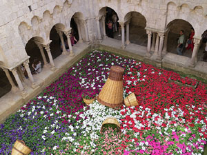 Temps de Flors 2015. Sant Pere de Galligants