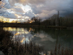 Els aiguamolls de Santa Eugènia, espai de natura