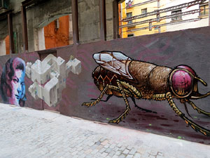 Art mural als carrers de Girona 