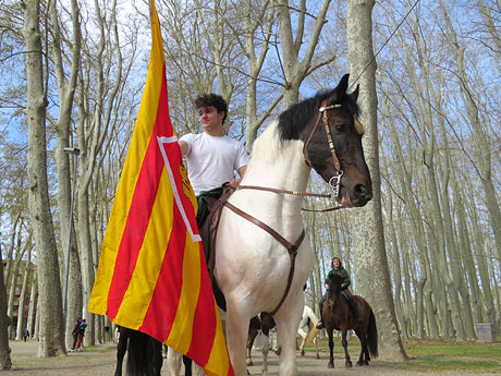 La Cavalcada de Sant Antoni 2016