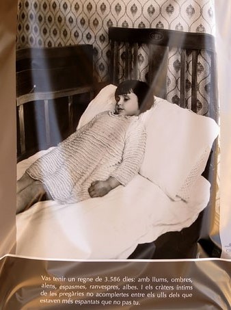 L'exposici&oacute; sota el viaducte del tren