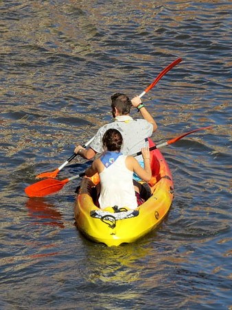 Acompanyant les andròmines