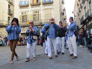 Fires 2015. Diada Castellera de Sant Narcís amb Marrecs de Salt, Minyons de Terrassa i Capgrossos de Mataró