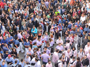 Fires 2015. Diada Castellera de Sant Narcís amb Marrecs de Salt, Minyons de Terrassa i Capgrossos de Mataró