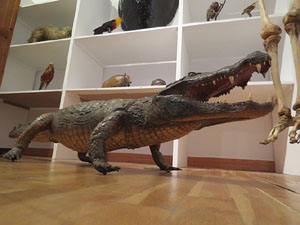 Fires 2015. Exposició Girona en època contemporània. Les capitalitats de la ciutat (1800-1939)