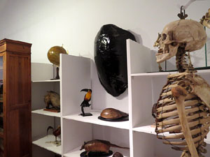 Fires 2015. Exposició Girona en època contemporània. Les capitalitats de la ciutat (1800-1939)