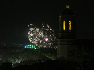 Fires 2015. Els focs