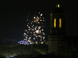 Fires 2015. Els focs