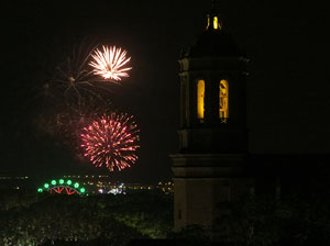 Fires 2015. Els focs