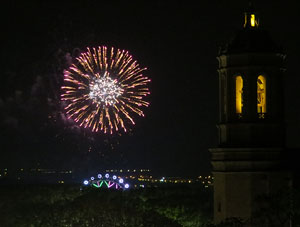 Fires 2015. Els focs