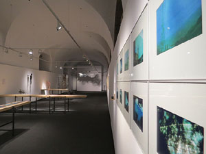 inund'ART 2016. Exposicions a la Casa de Cultura