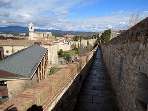 Itinerari de la Muralla. Des de la torre de Sant Domènec a la del Llamp