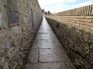 Itinerari de la Muralla. Des de la torre de Sant Domènec a la del Llamp